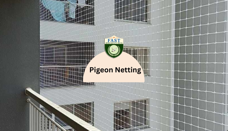 pigeon net installation nearby 