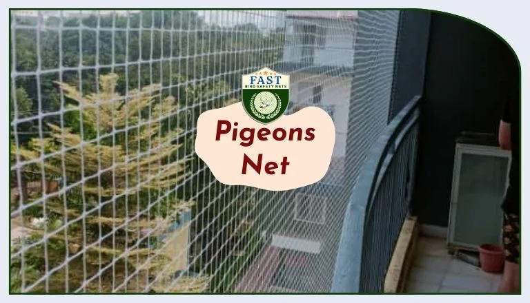 pigeon net near me