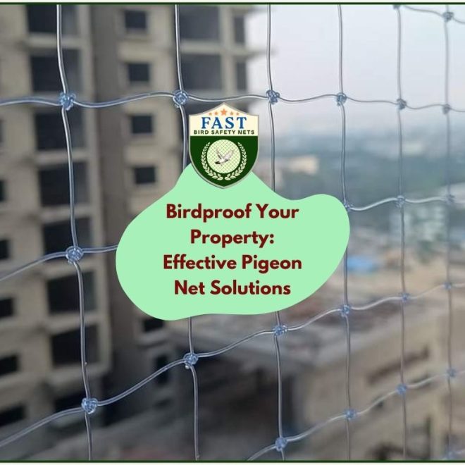 Birdproof Your Property: Effective Pigeon Net Solutions