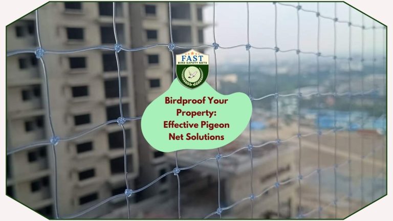 Birdproof Your Property: Effective Pigeon Net Solutions