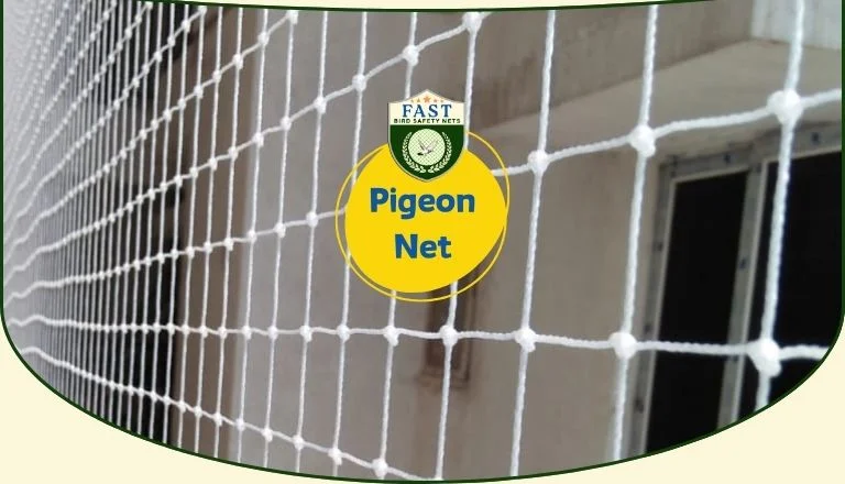 pigeon net