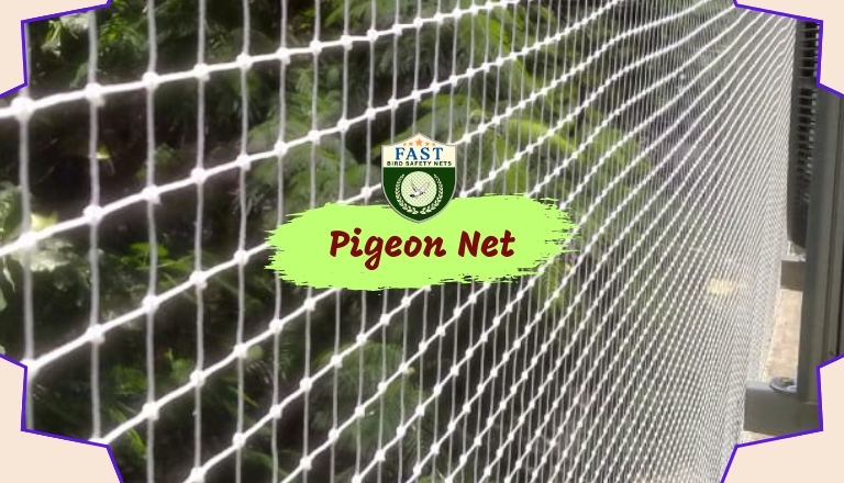 Pigeon Nets