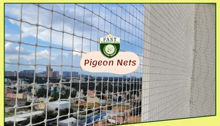 Pigeon Nets in Hyderabad for Pigeon Infestations