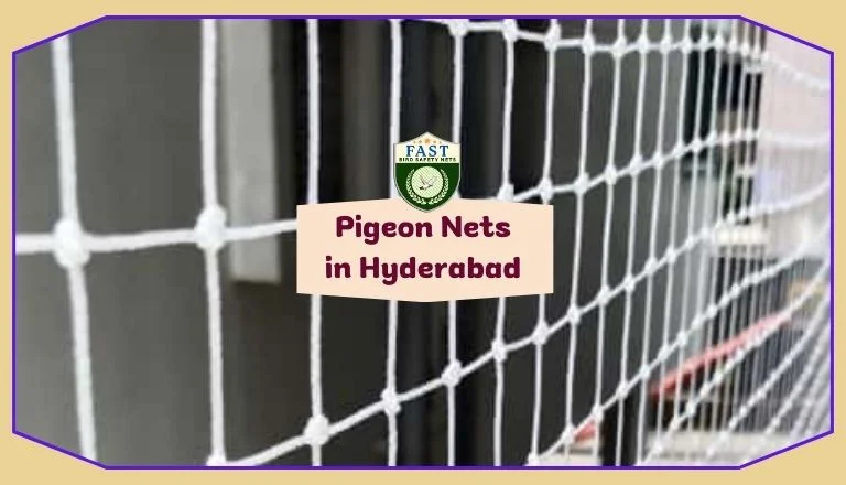 pigeon nets in hyderabad