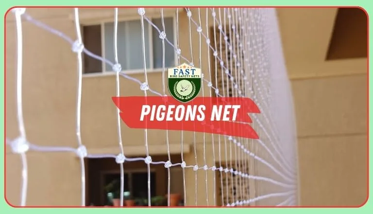 pigeon net