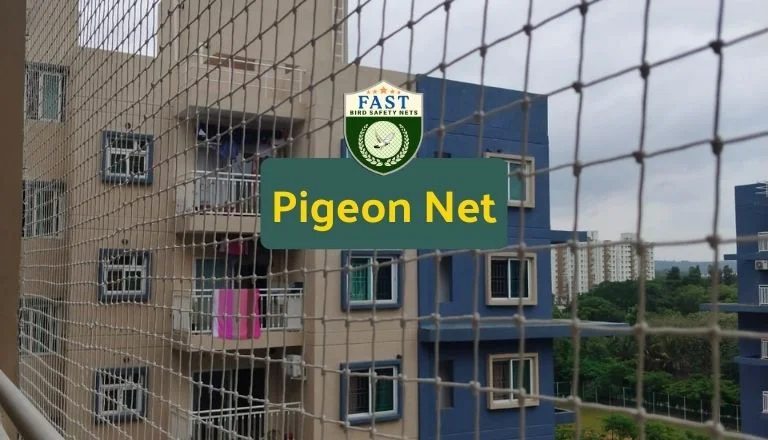 Pigeon Net Installation