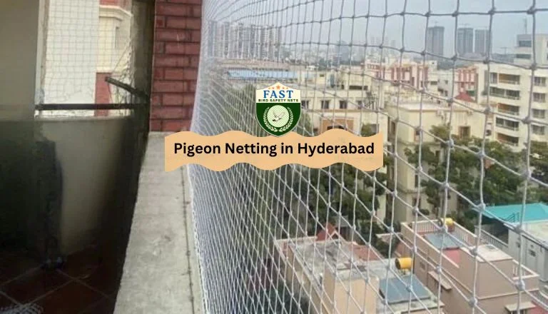 pigeon netting in Hyderabad