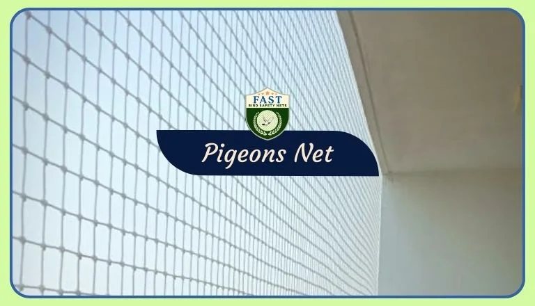 pigeon netting hyderabad