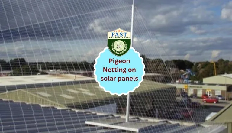 pigeon netting on solar panels