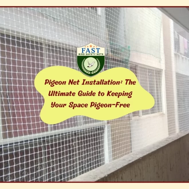 Pigeon Net Installation: The Ultimate Guide to Keeping Your Space Pigeon-Free