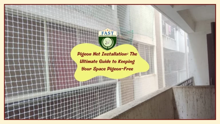 Pigeon Net Installation: The Ultimate Guide to Keeping Your Space Pigeon-Free