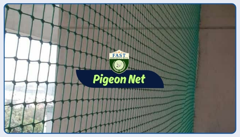 pigeon netting