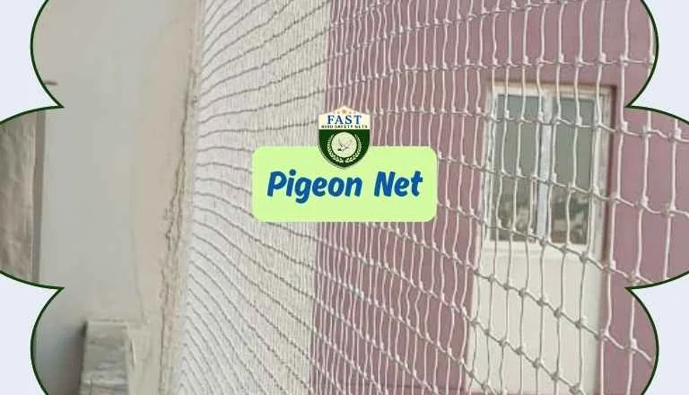 Pigeon Netting Services