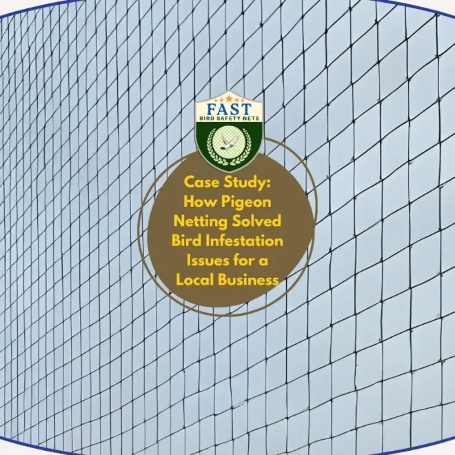 Case Study: How Pigeon Netting Solved Bird Infestation Issues for a Local Business