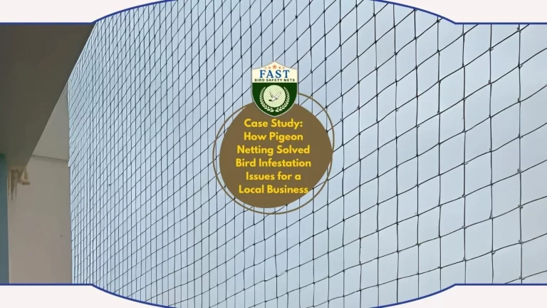 Case Study: How Pigeon Netting Solved Bird Infestation Issues for a Local Business
