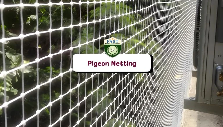 Pigeon Netting
