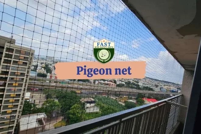 How Do I Prevent Pigeons From Landing On My Balcony?