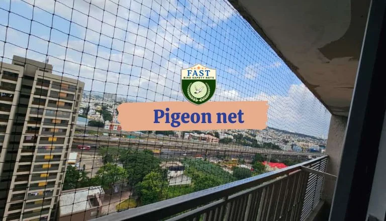 How to Stop Pigeons Nesting on Balcony