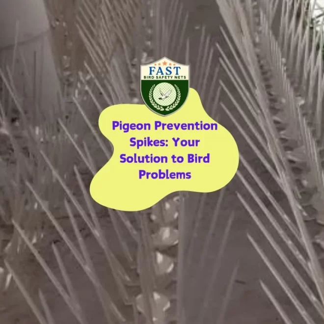 Pigeon Prevention Spikes: Your Solution to Bird Problems
