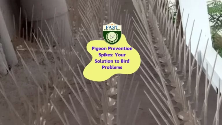 Pigeon Prevention Spikes: Your Solution to Bird Problems