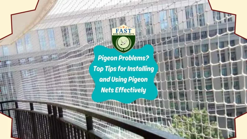 Top Tips for Installing and using pigeon nets effectively