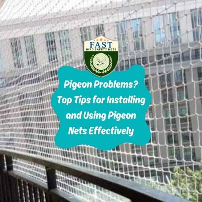 Pigeon Problems? Top Tips for Installing and Using Pigeon Nets Effectively