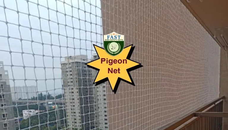 pigeon safety nets near me