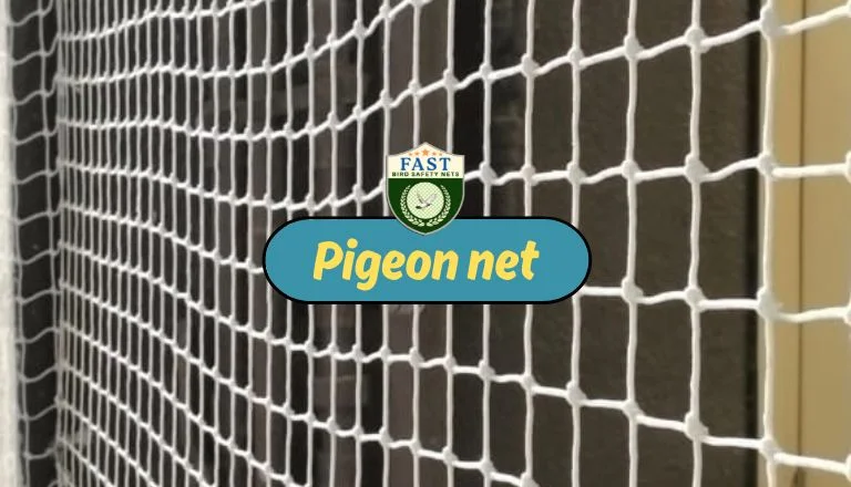 Pigeon Safety Nets Near Me