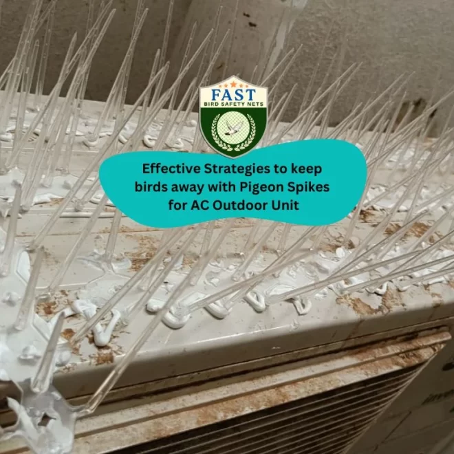 Effective Strategies to keep birds away with Pigeon Spikes for AC Outdoor Unit