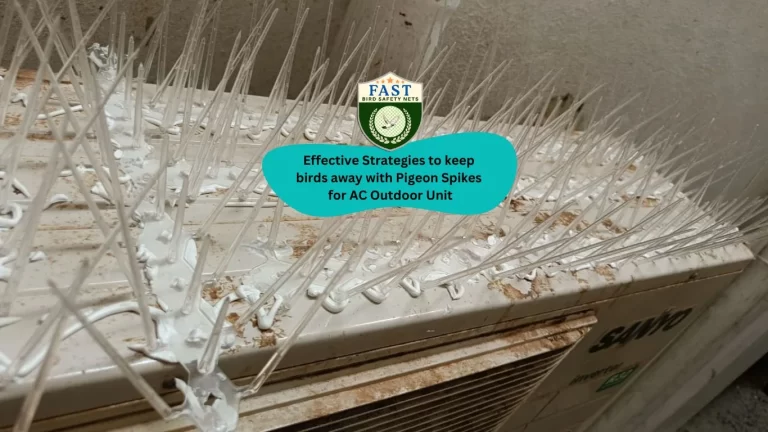 Effective Strategies to keep birds away with Pigeon Spikes for AC Outdoor Unit