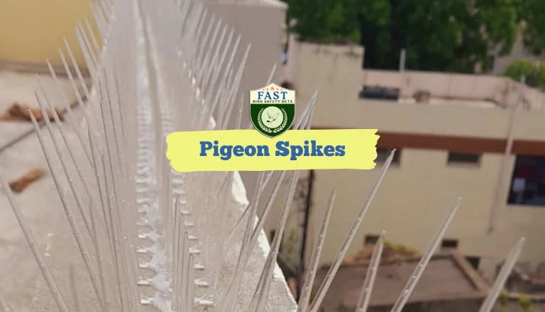 pigeon prevention spikes