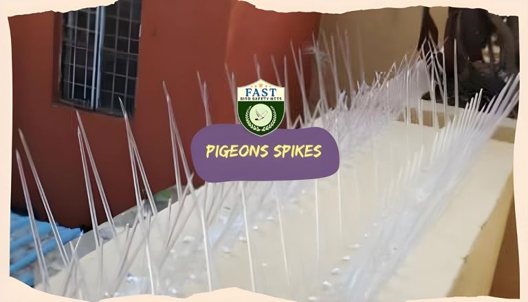 pigeon spikes