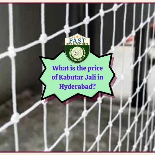 What is the price of Kabutar Jali in Hyderabad?