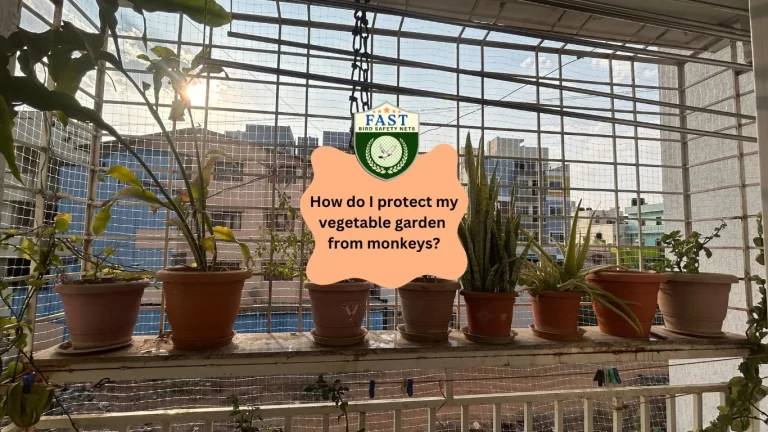 How do I protect my vegetable garden from monkeys?