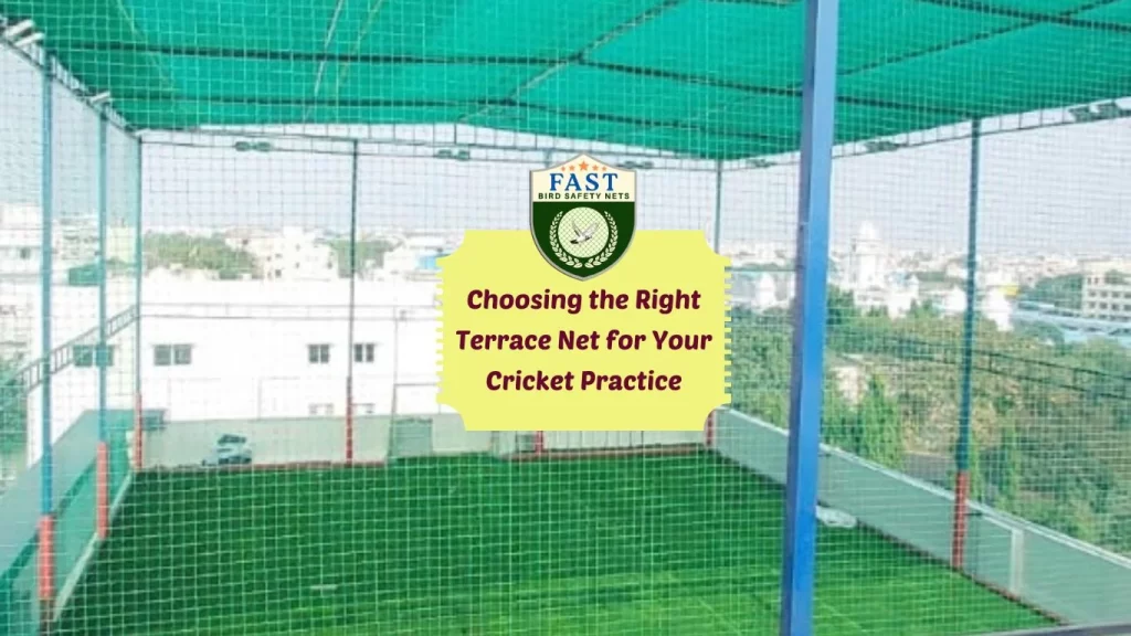 right terrace net for your cricket practice