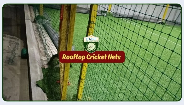 Rooftop Cricket Nets