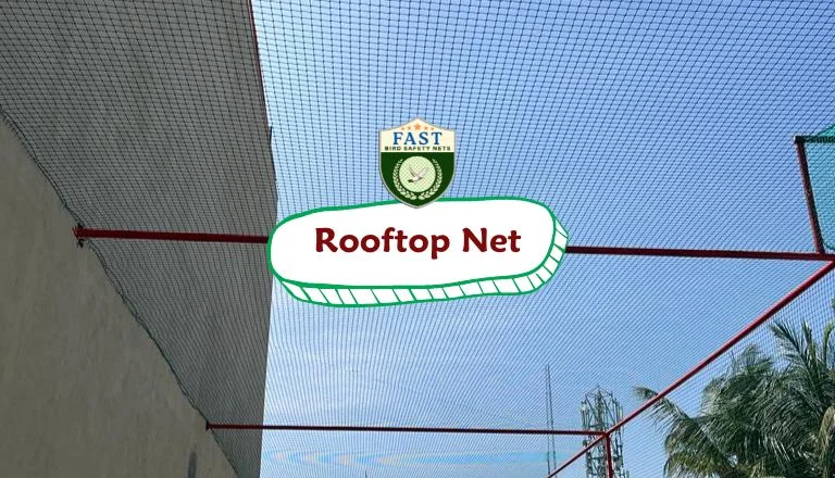 Rooftop Nets