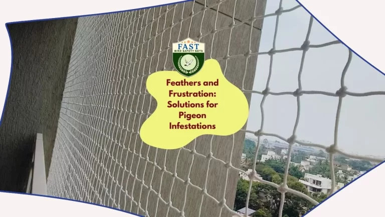 Feathers and Frustration: Solutions for Pigeon Infestations