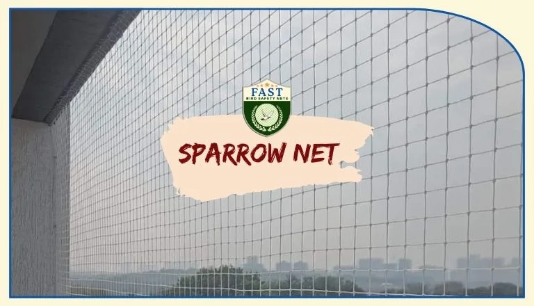 sparrow net near me