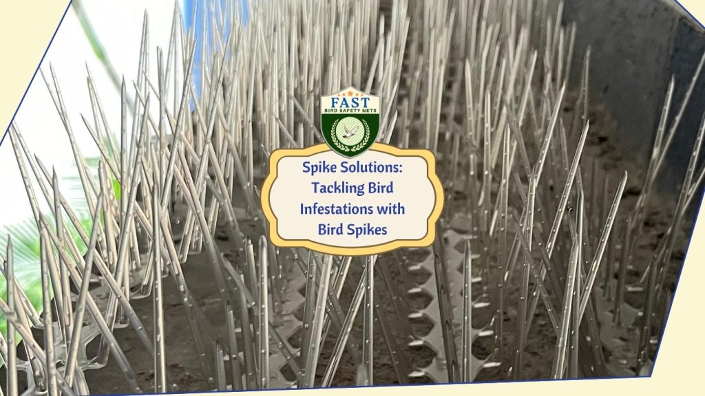 Bird Spikes for tackling Bird Infestations