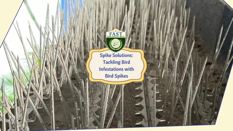 Spike Solutions: Tackling Bird Infestations with Bird Spikes