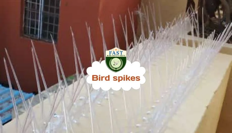 spikes to stop birds