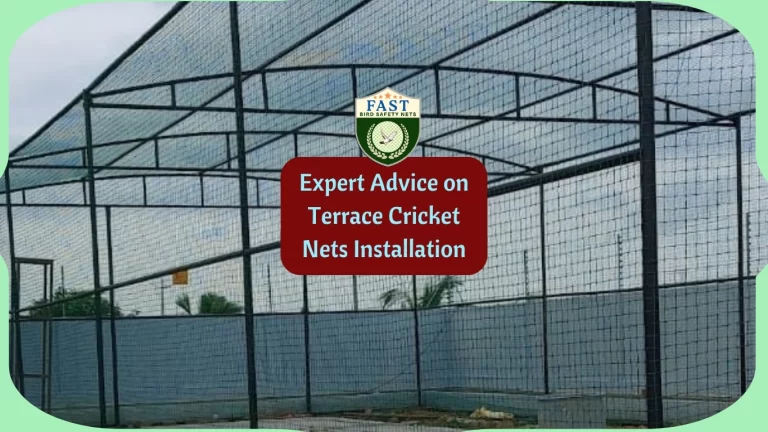 Expert Advice on Terrace Cricket Nets Installation