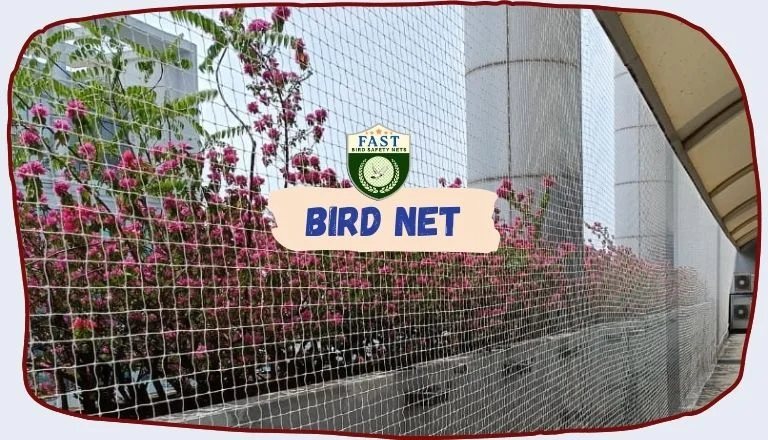 top tips for bird nets