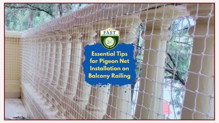 Essential Tips for Pigeon Net Installation on Balcony Railing