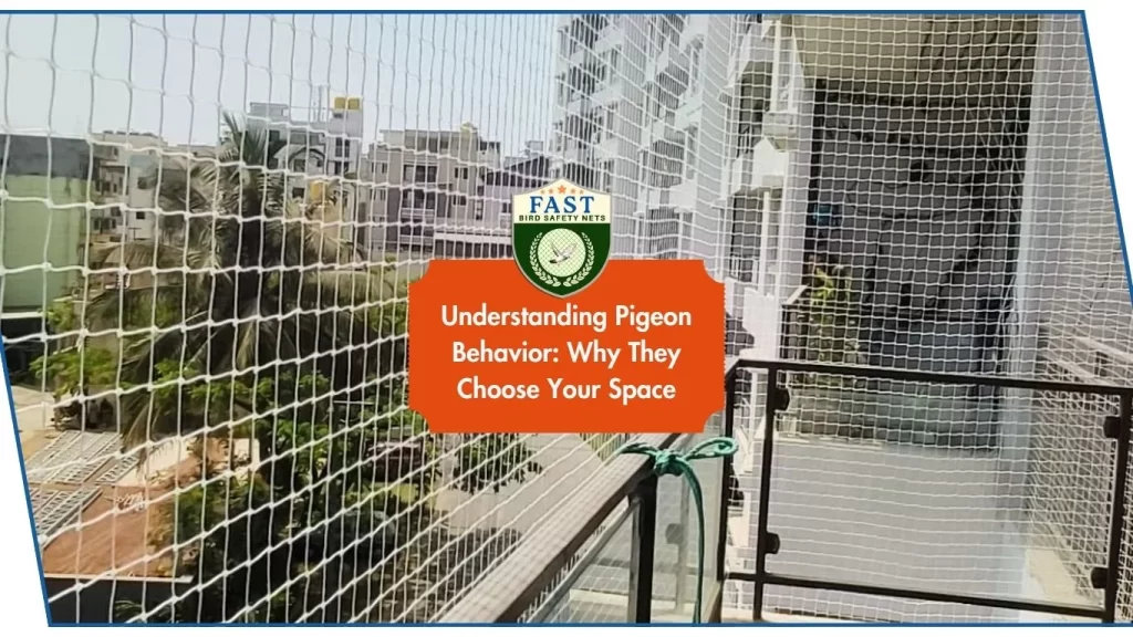 Understanding Pigeon Behavior