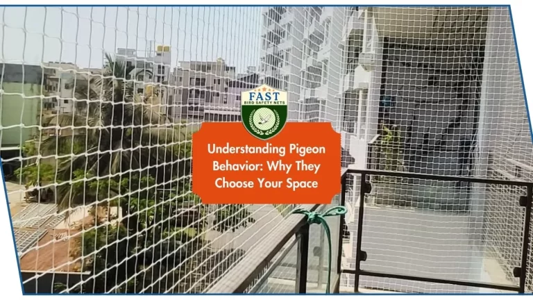 Understanding Pigeon Behavior: Why They Choose Your Space
