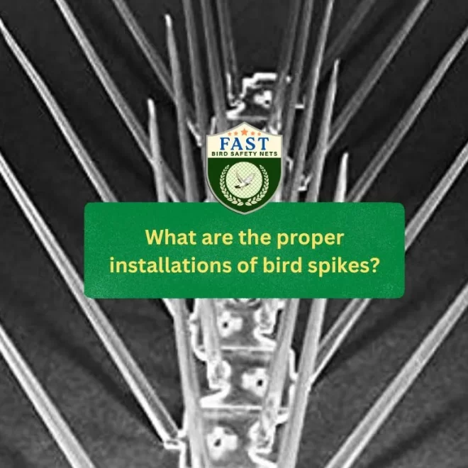 What are the proper installations of bird spikes?