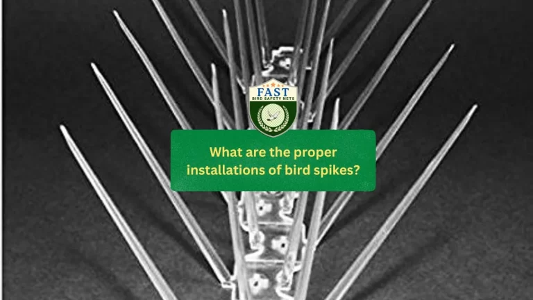What are the proper installations of bird spikes?