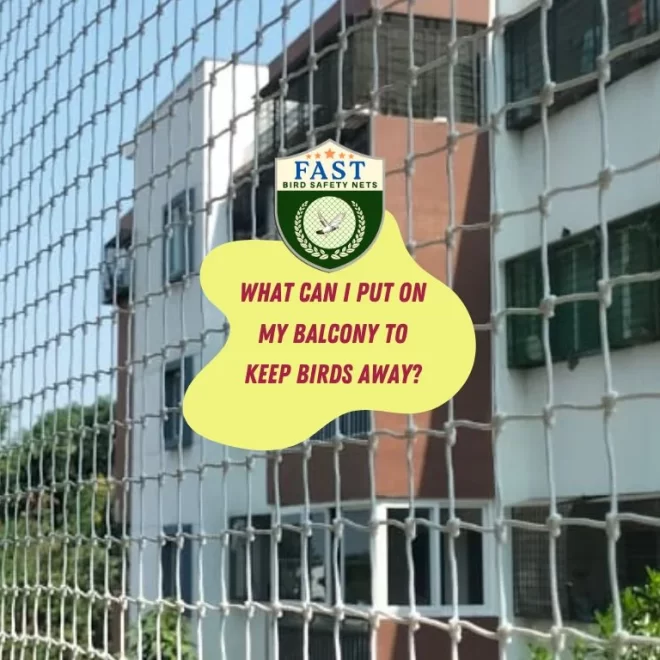 What can I put on my balcony to keep birds away?